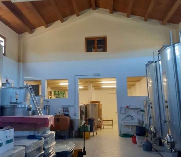 Arezzo, Italia, ,1 BagnoBagno,Cantina,Tenute Agricole Vinicole,1095